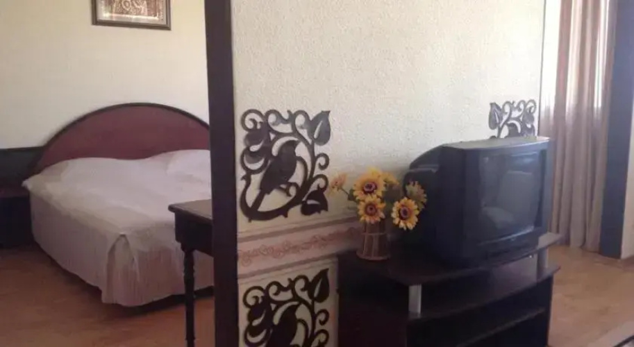Botevgrad Hotel