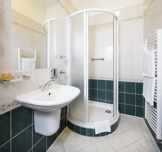 1 Bedroom Deluxe room with park view