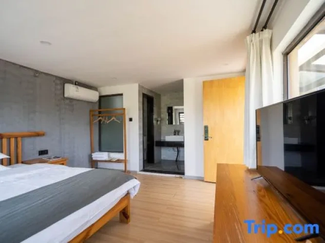 Standard Double room with balcony and with lake view