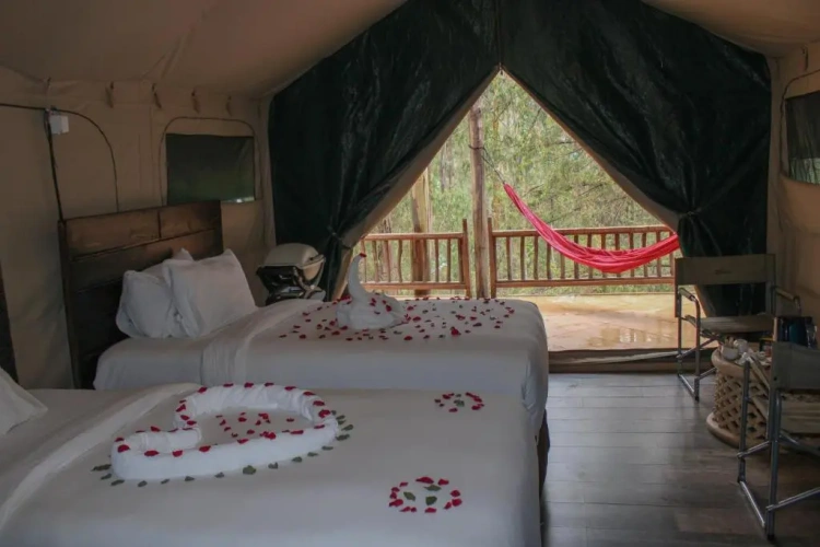 Tent