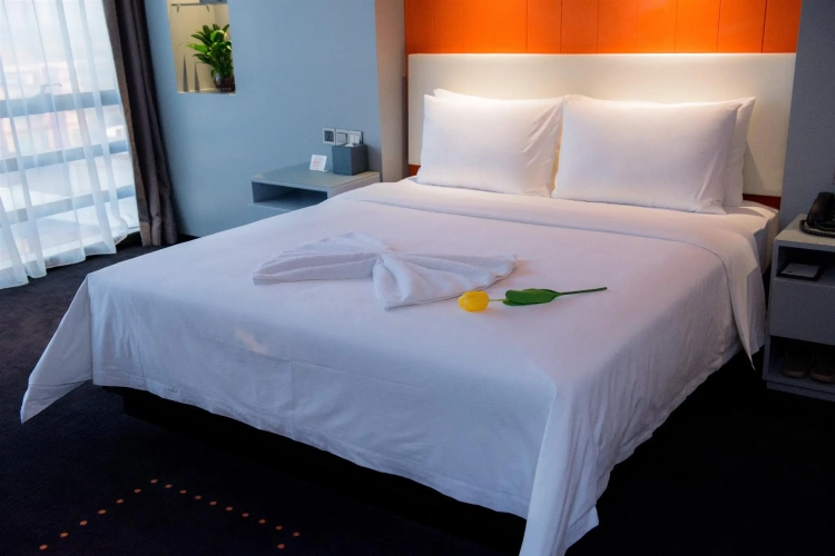 Executive Single Suite with city view