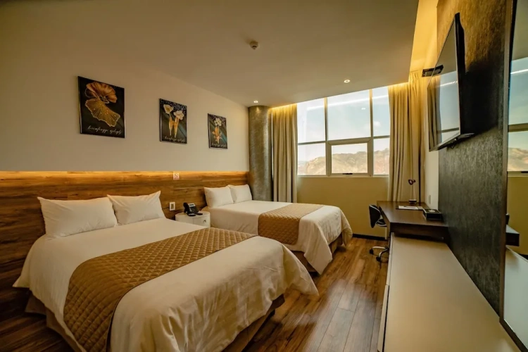 Comfort Suite
