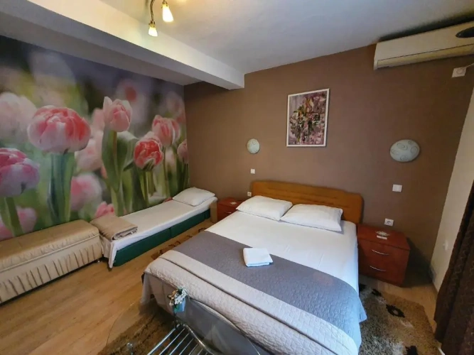 Standard Double room with balcony and with view
