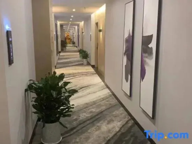 Zimai City Hotel
