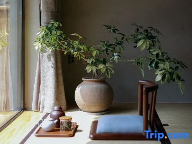 Southern Hill Homestay