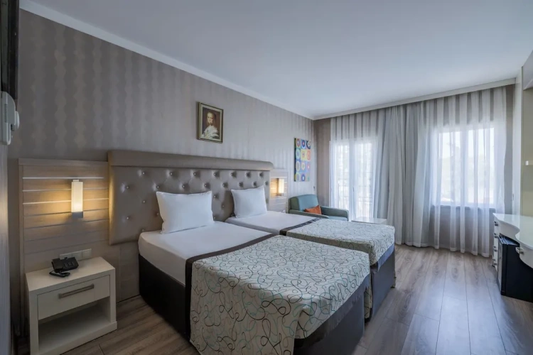 Standard Triple room with land view