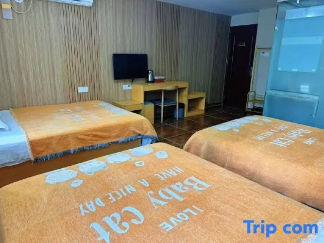 Standard Triple room