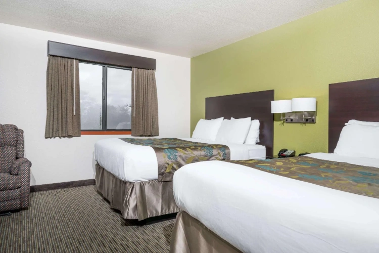 Quadruple Suite
