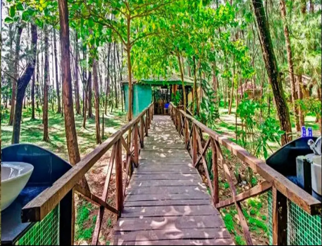 Devbagh Beach Resort