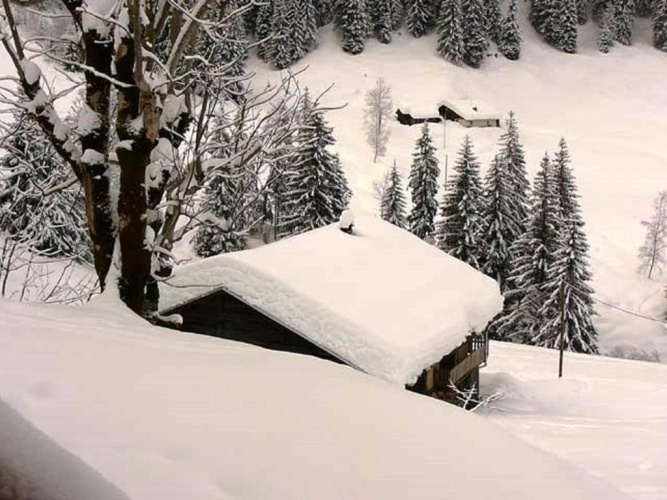 Chalet