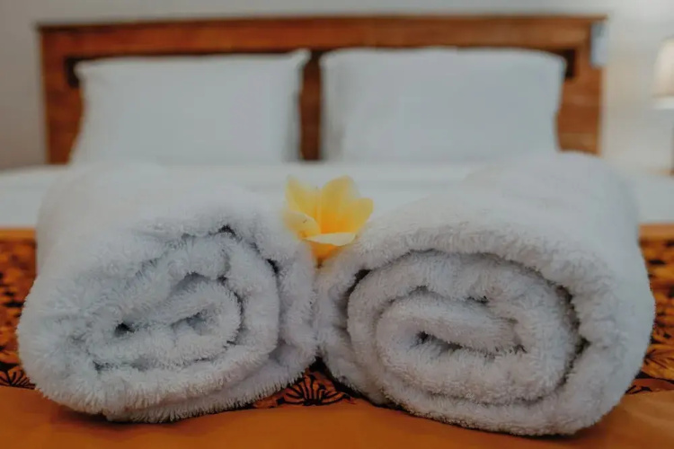 Twins Bali House