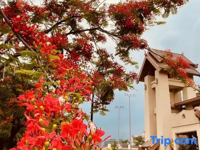 Senhuoyeshe B&B