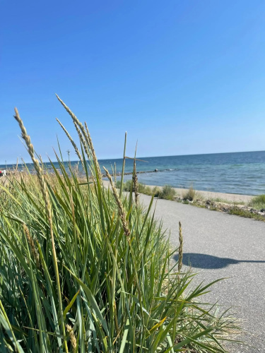 Wellnessapartment Deichgraf Dahme