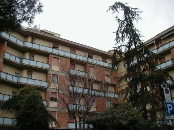 Sansovino Bed And Car