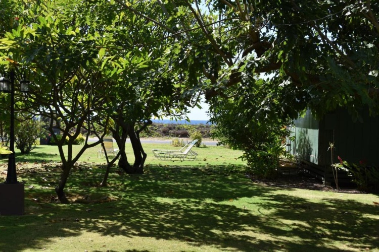 Deluxe Bungalow with garden view