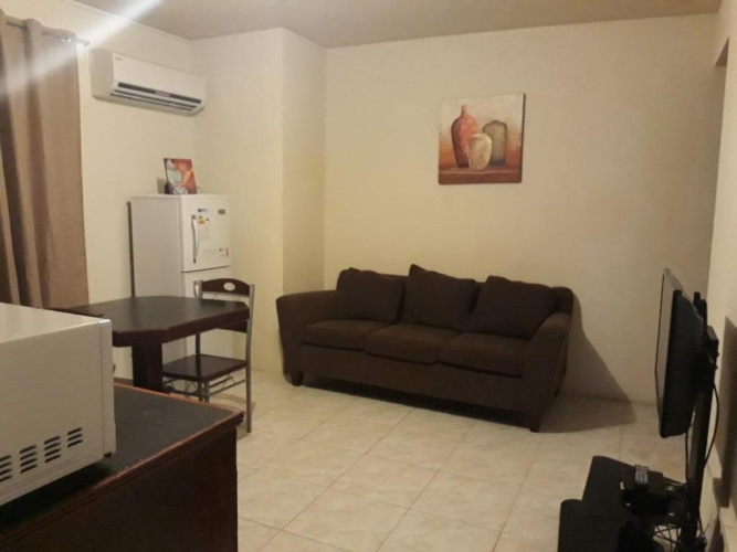 1 Bedroom Apartment with view
