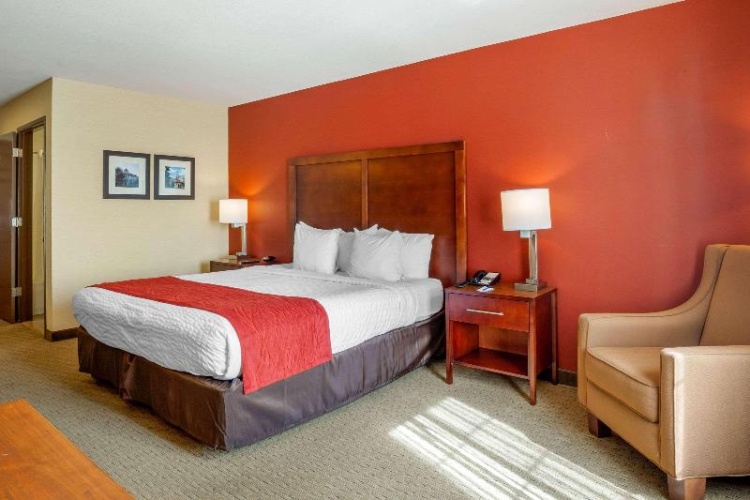 Standard Double room