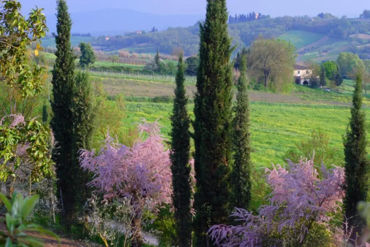 Tenuta Il Tresto
