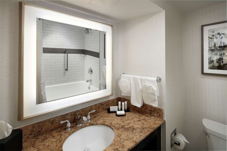 Embassy Suites by Hilton Tysons Corner photo 12