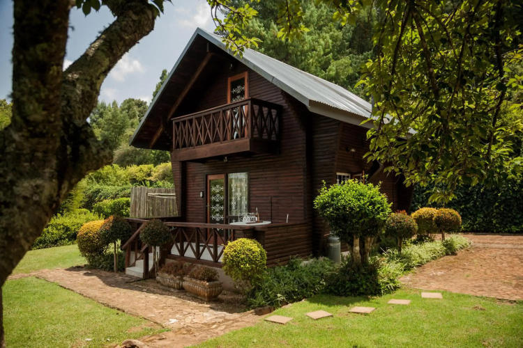 Viewpoint - Cabin 5