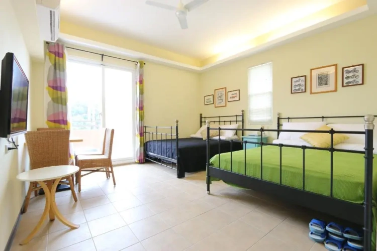 Standard Double room with view