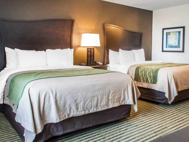 Standard Quadruple room