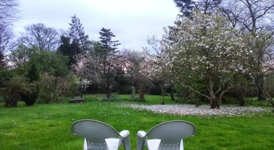 Le Magnolia