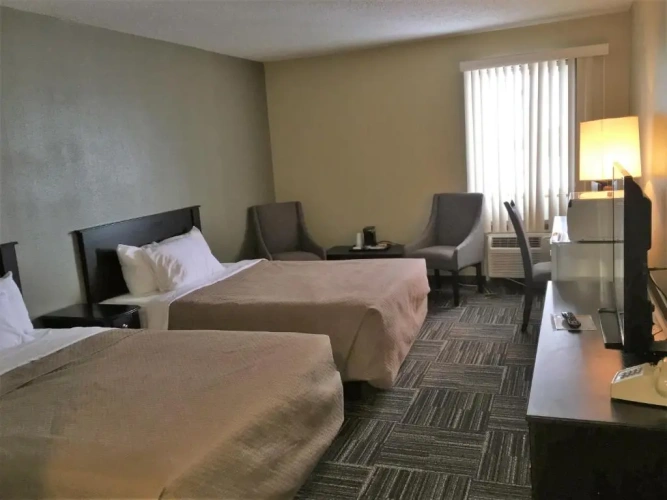 Superior Suite