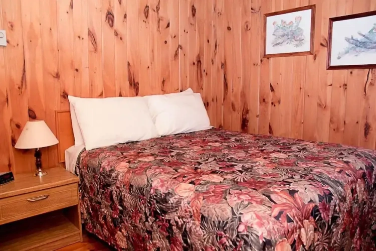 Standard Double room with view