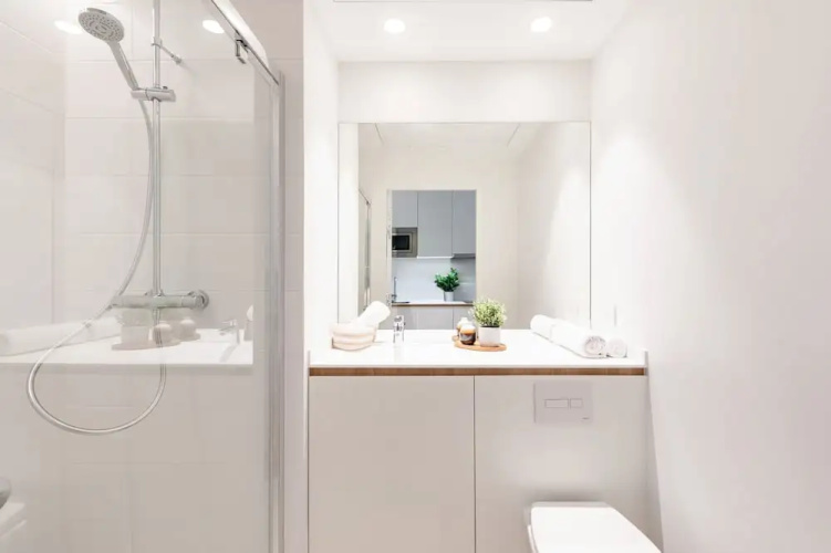 Les Appartements de Grenoble