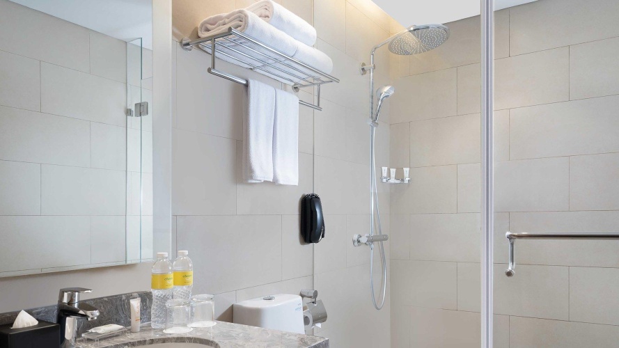 Double Suite with city view