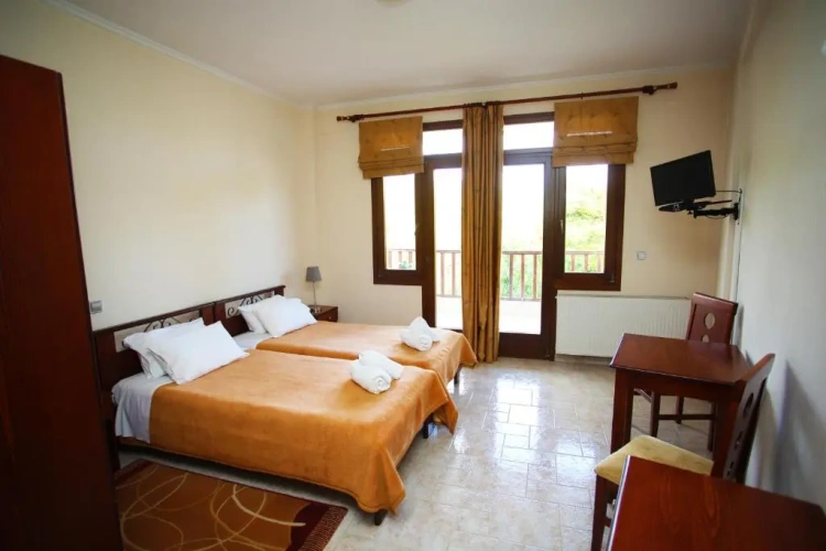 Standard Twin room with view
