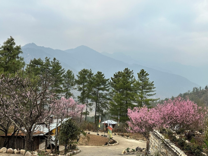Haven Resort Paro