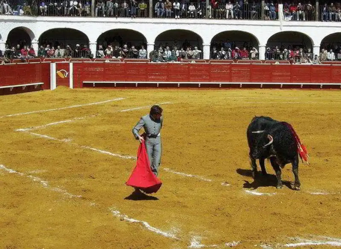 Hotel Plaza de Toros