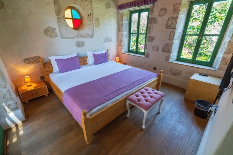 Deluxe room with balcony and with garden view