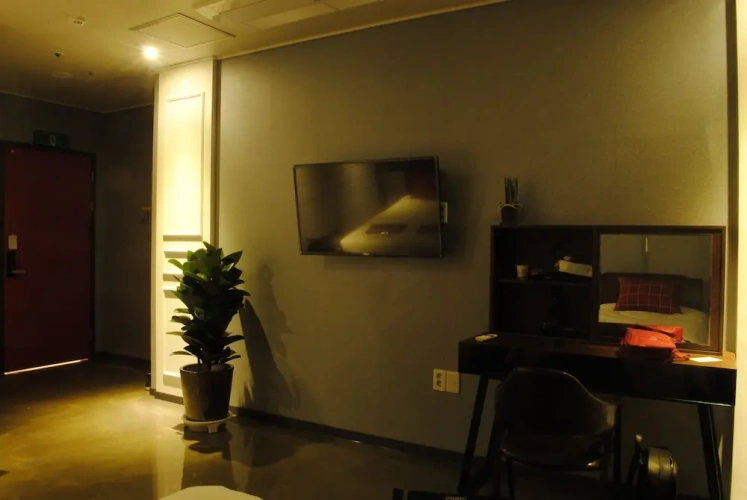 Standard Double room with ocean view