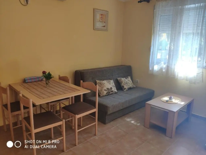 Basement Apartment