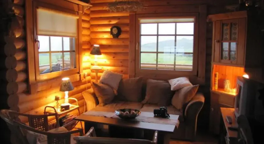 Log Cabin at White River
