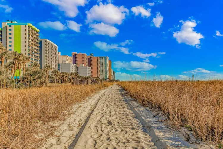 Boardwalk 439 & 440