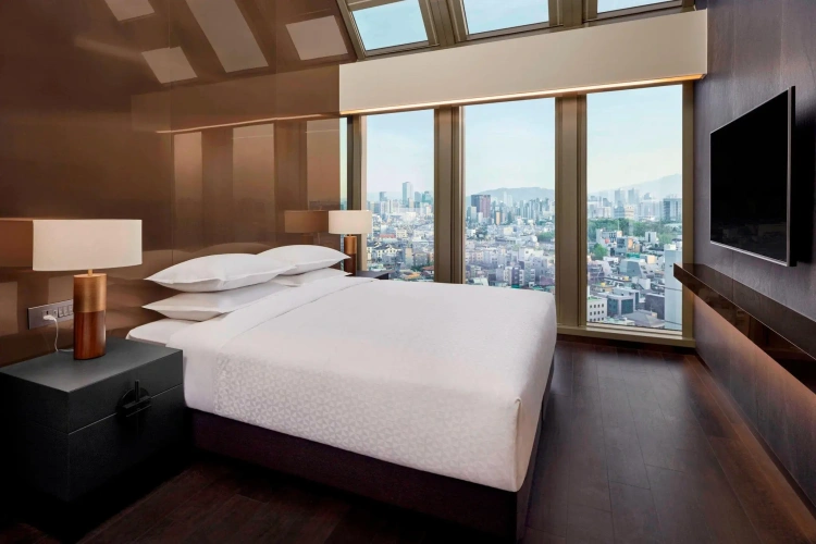 Standard Double Penthouse room with city view