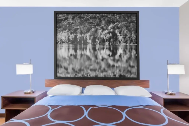 1 Bedroom Suite