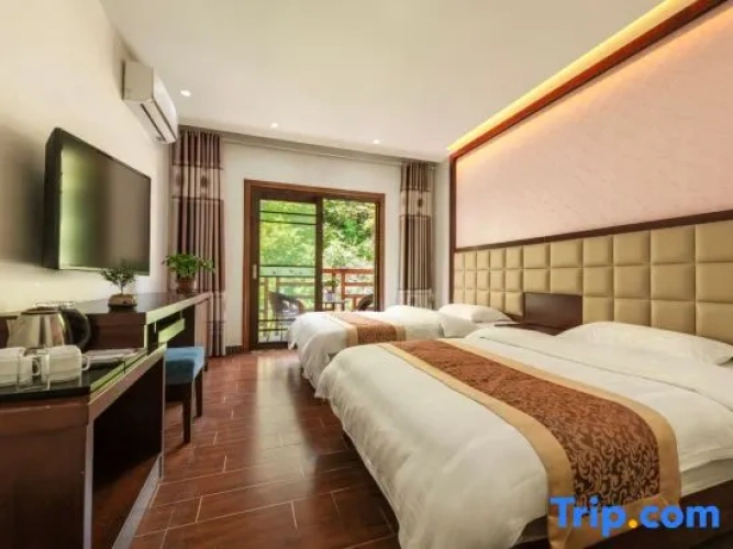 Standard room with balcony and with view