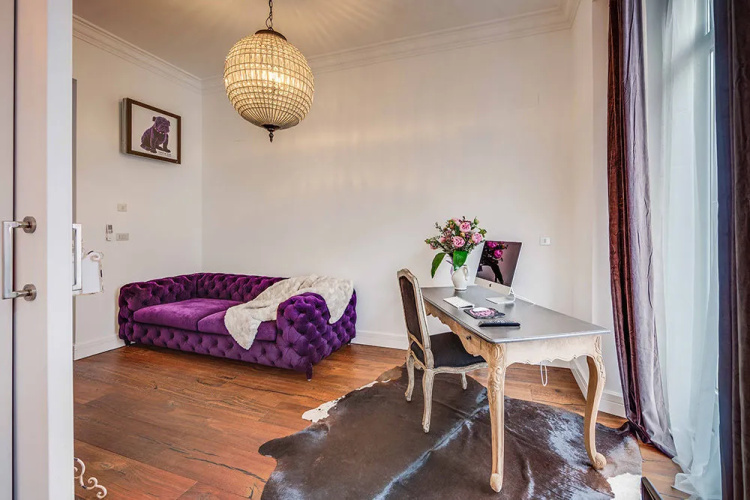 Purple Dog Suites
