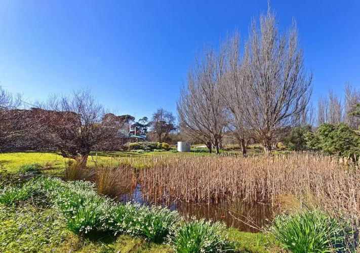 Ventnor Guest House