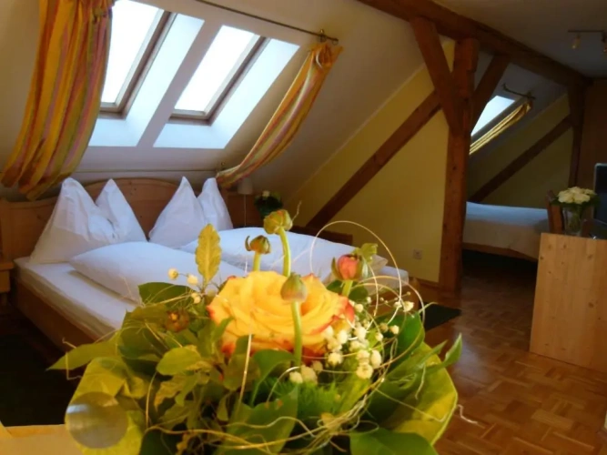 Standard Double room with view