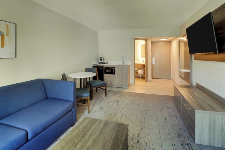 1 Bedroom Suite