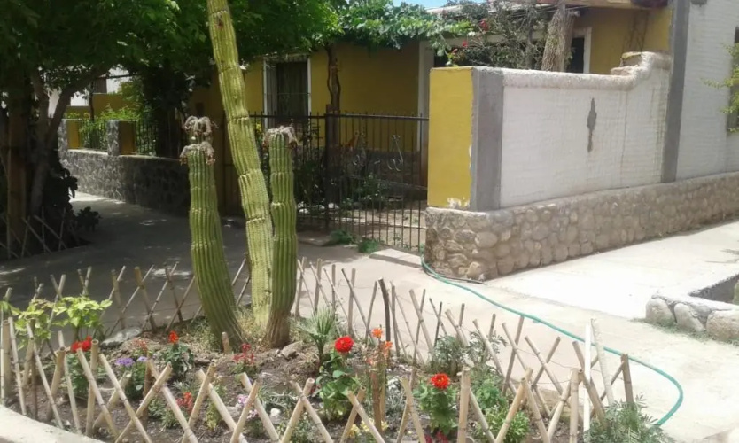 Cardones de Molinos