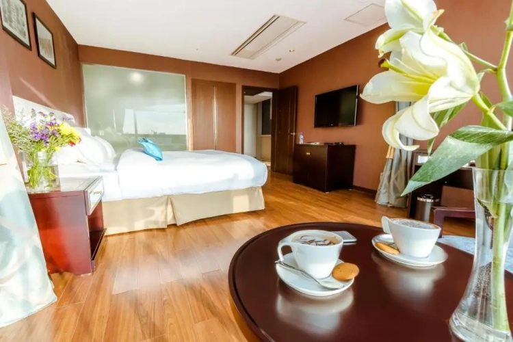 Deluxe Double room with city view
