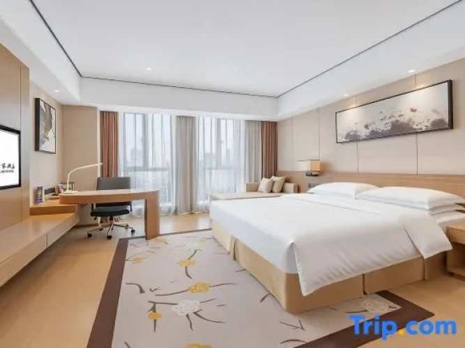 Standard Double room with city view