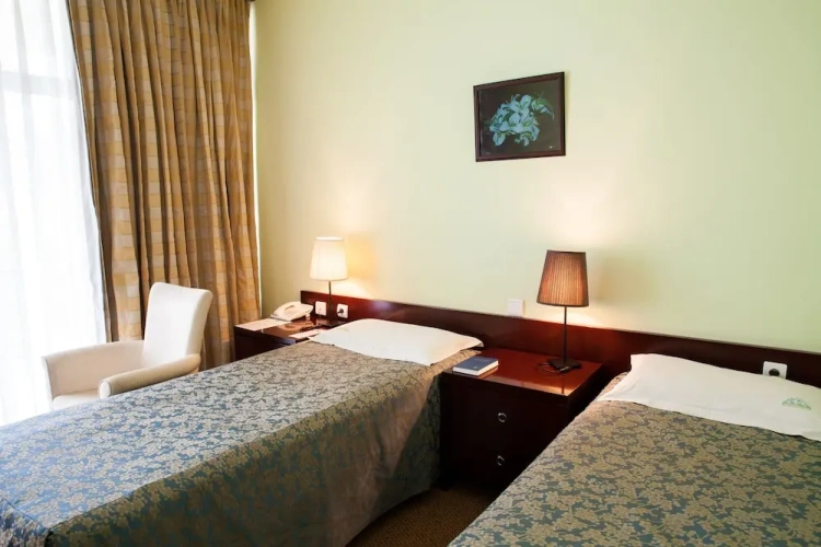 1 Bedroom Deluxe Twin room with lake view